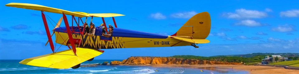 Tiger Moth Main Banner
